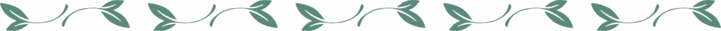 Sage green leaf divider used to separate website sections for Rebecca Wilkinson Counselling in Plymouth