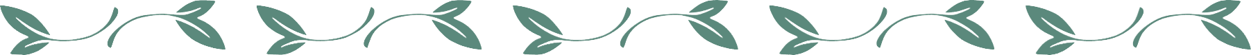 Sage green leaf divider used to separate website sections for Rebecca Wilkinson Counselling in Plymouth
