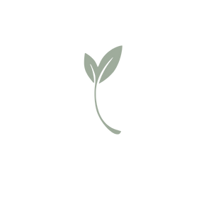 Single sage leaf graphic